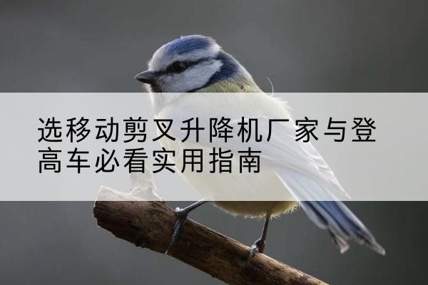 西青区电动升降机厂家-选移动剪叉升降机厂家与登高车必看实用指南