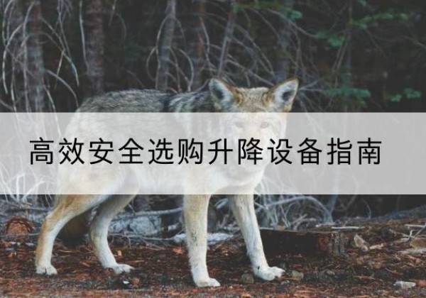 西青区升降货梯厂家推荐-*安全选购升降设备指南