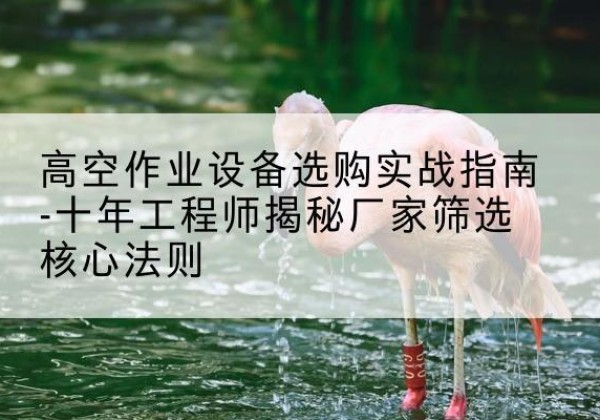 西青区剪叉式升降机厂家-高空作业设备选购实战指南-十年工程师揭秘厂家筛选核心法则
